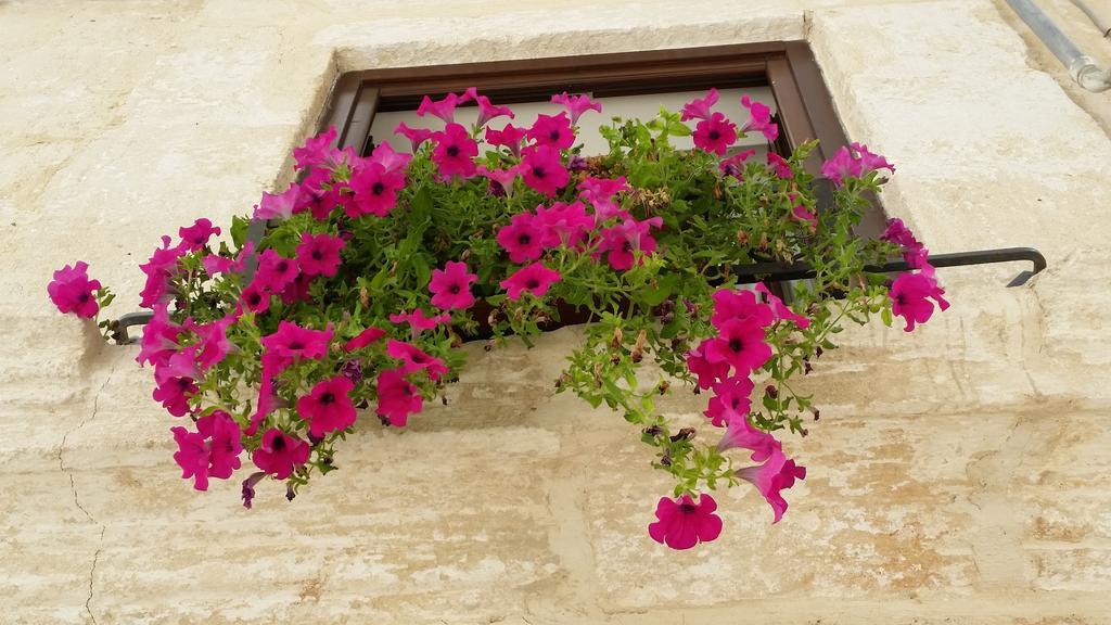 Borgo Antico Appartement Monopoli Buitenkant foto